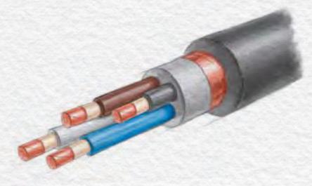 Кабель силовой ВВГЭнг(А)-FRLS ОПТ фото 1