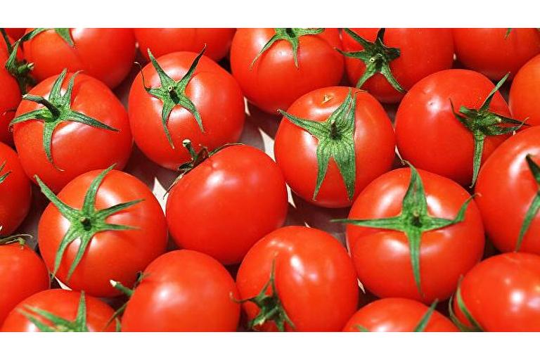 Томаты фото 1