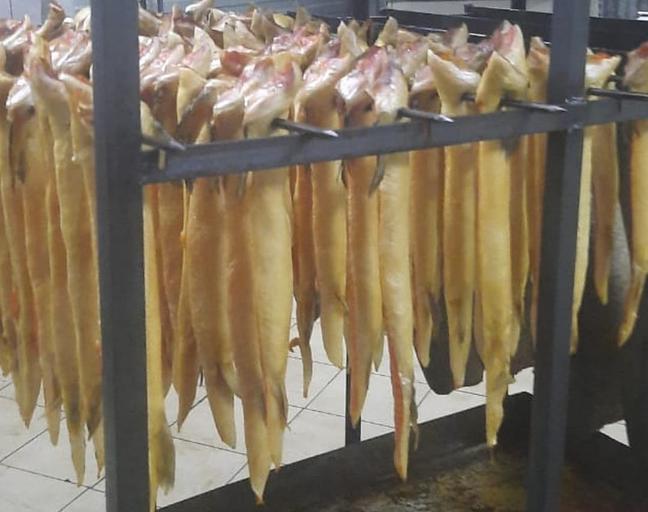 Теша Форели х/к фото 1