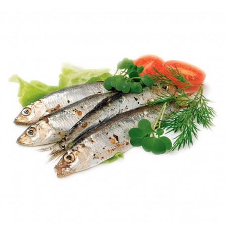 Килька п/п фото 1