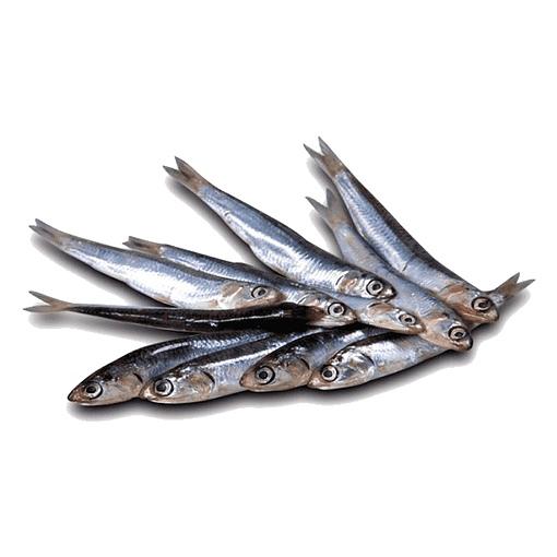 Хамса п/п фото 1