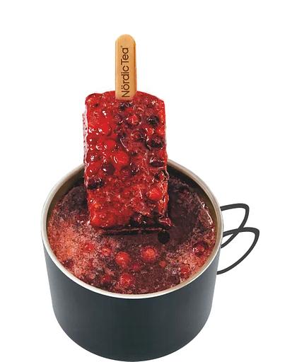 Напиток замороженный северный чай Nördic Tea хвойный с брусникой, 50 г ОПТ фото 4