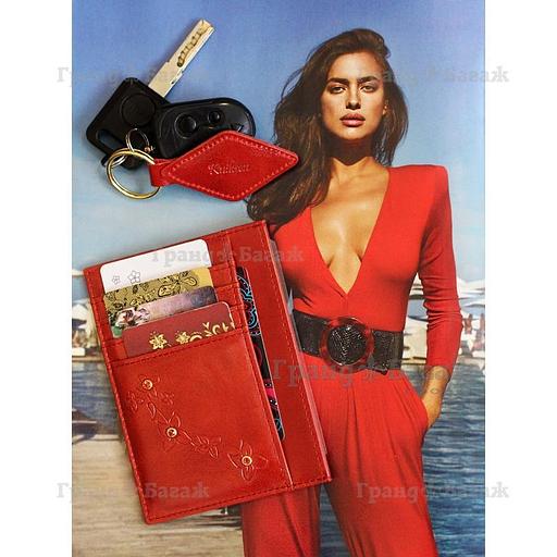 Обложка для автодокументов Kniksen ОВ-М-мэри/кр фото 2