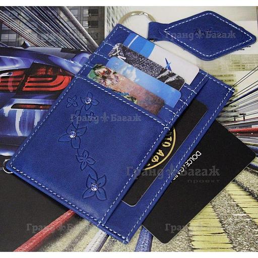 Обложка для автодокументов Kniksen ОВ-М-мэри/син фото 2