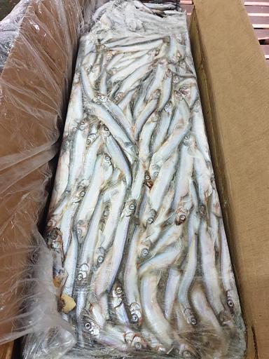 Свежемороженая мойва, икряная (Атлантика), размер 40/50 фото 1