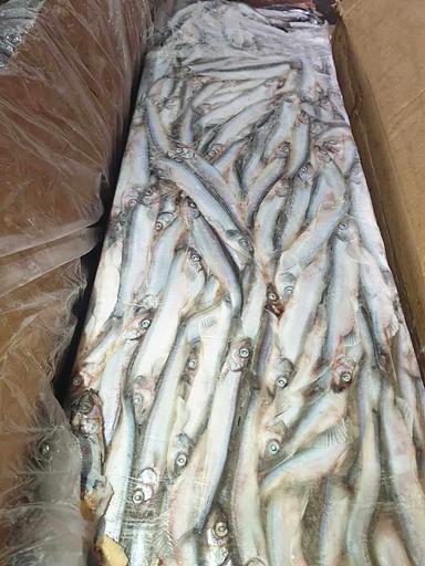 Свежемороженая мойва, икряная (Атлантика), размер 40/50 фото 4