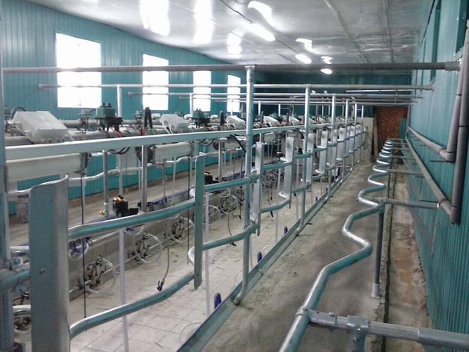 Доильный зал Елочка 2х12 от 500 голов (каркас Италия) фото 1