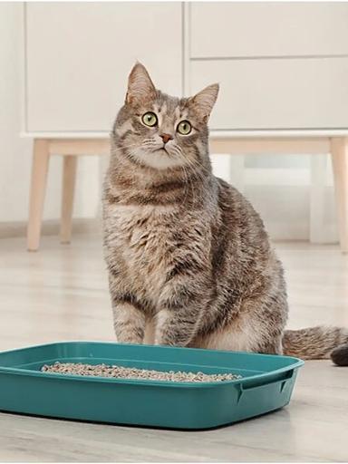 Комкующийся наполнитель для домашних животных Чистый Том, 15 кг (45 л) фото 3