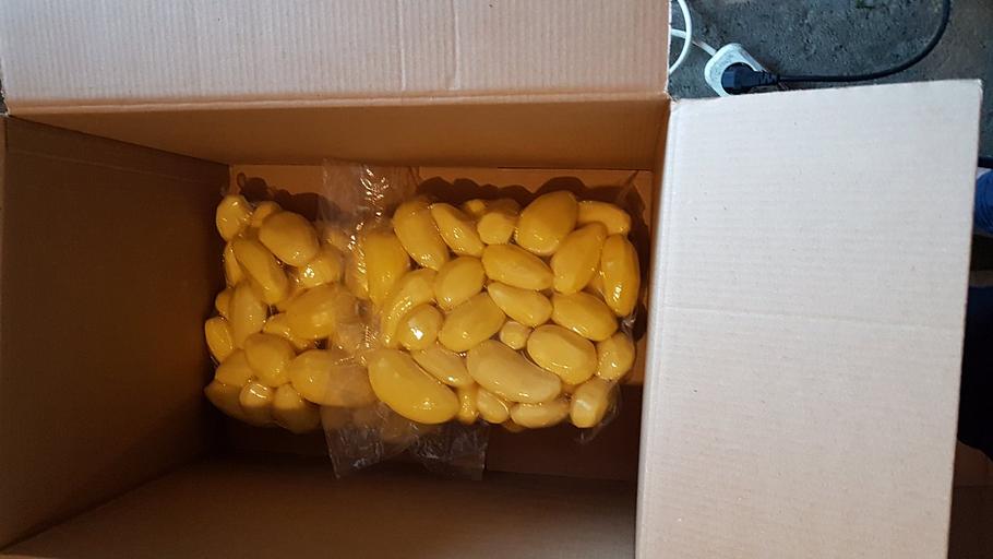 Картофель в вакуумной упаковке опт фото 3