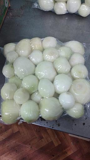 Лук репчатый в вакуумной упаковке опт фото 1