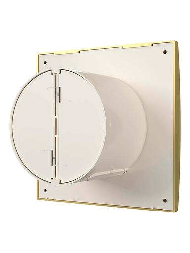 Бытовой вентилятор Aura 5C Champagne Diciti опт фото 4