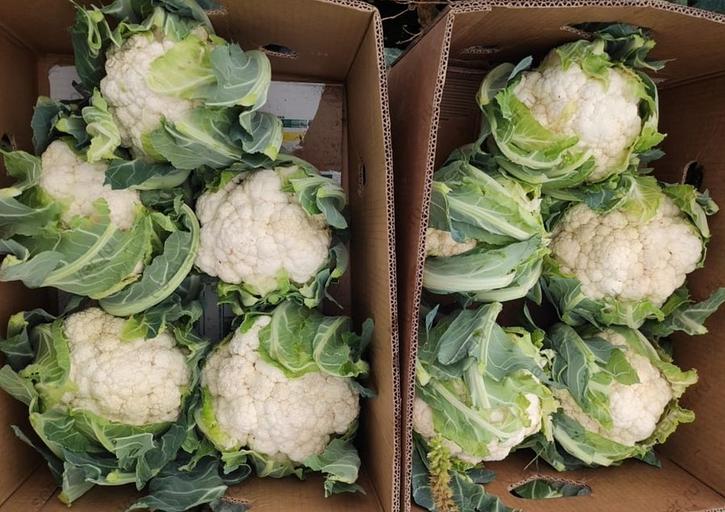 Капуста цветная свежая фермерская фото 1