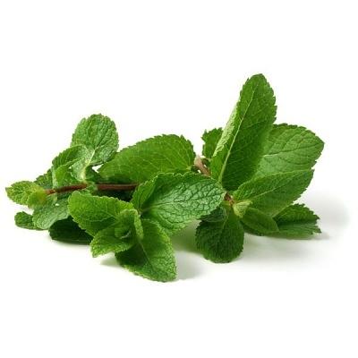 Свежая зелень «Мята», опт фото 1