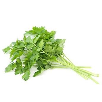 Свежая зелень «Петрушка», опт фото 1