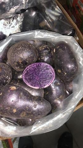 Свежие овощи «Картофель Фиолетовый», опт фото 1