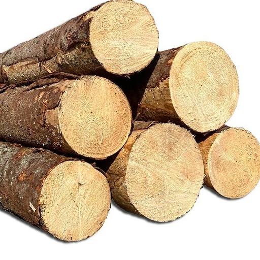 Дөңгелек ағаш, шырша/қарағай ағаштары көтерме саудада фото 1