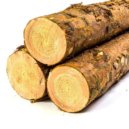 Дөңгелек ағаш, шырша/қарағай ағаштары көтерме саудада фото 2