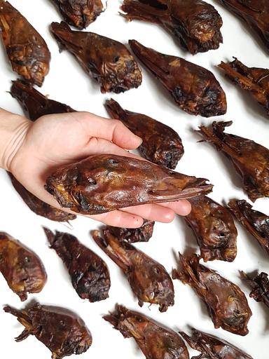 Головы утиные BuckDog, пакет 2 шт фото 1