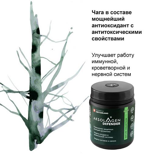 Неденатурированный Морской коллаген II типа с экстрактом чаги «Aksolagen defender» фото 4