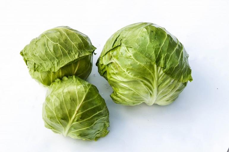 Капуста ранняя фото 1