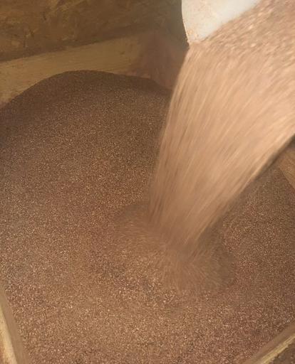 Дрожжи кормовые ГОСТ 20083-74 фото 1