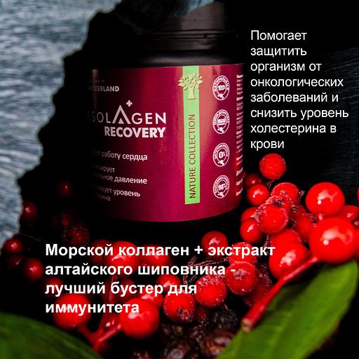 Неденатурированный Морской коллаген 1 2 и 3 типа с экстрактом шиповника «Aksolagen recovery» фото 2