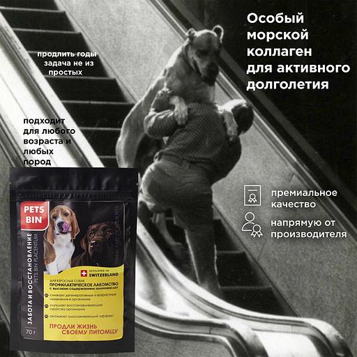 Добавка PETS BIN «Placentum» для собак ОПТ фото 6