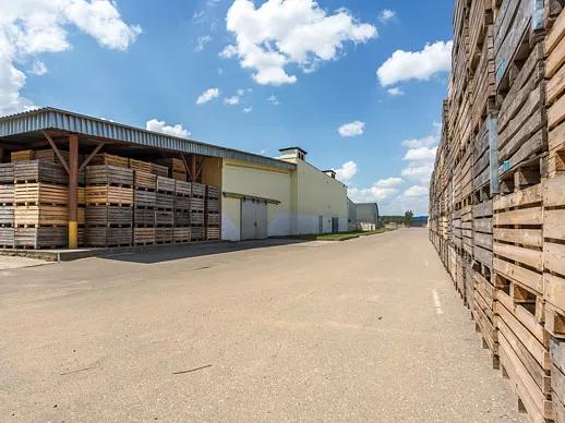 Паллетный борт 1200×800 б/у 2 сорт ОПТ фото 3