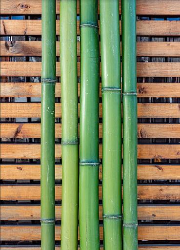 Ствол бамбука, 3м, зеленый, опт фото 3