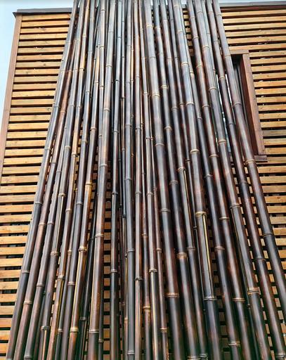 Ствол бамбука, 3м, шоколадный обжиг, опт фото 1