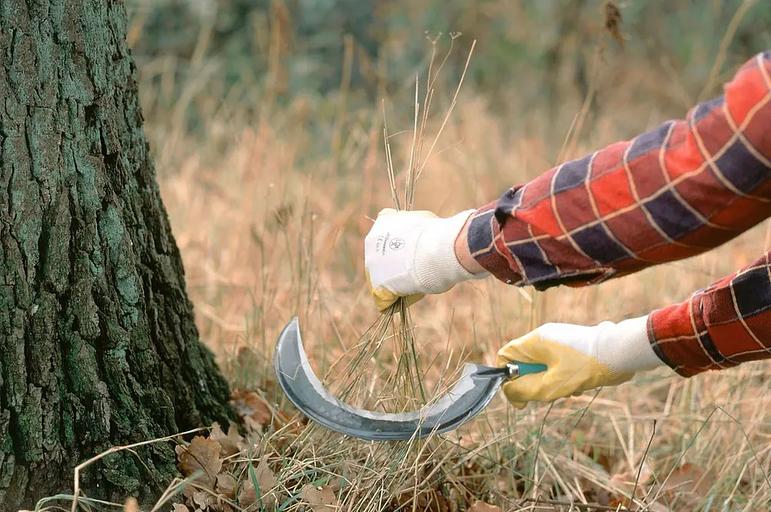 Серп «Травник» 25 фото 4