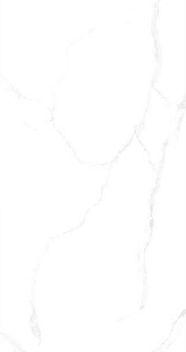 Керамогранит 1200×600 Китай DST12001 ОПТ фото 1