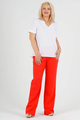 Брюки Б-67-2 фото 1