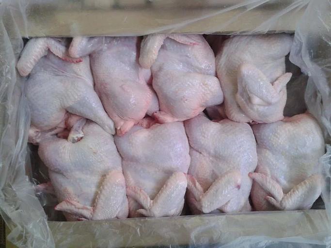 Тушка куриная цыпленка бройлера замороженная фото 1