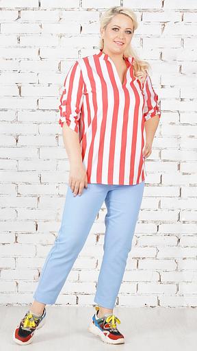 Брюки Б-40-2 фото 1