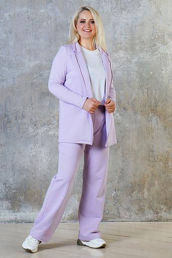 Брюки Б-83-2 фото 1