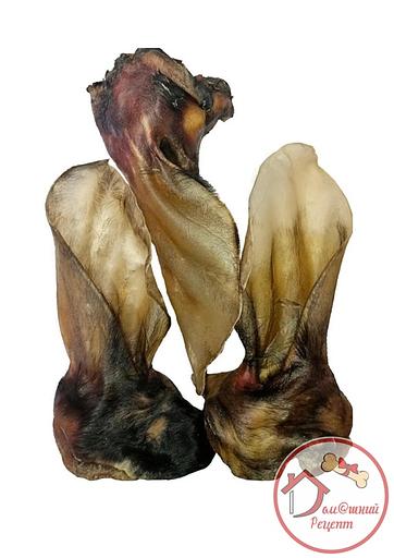 Ухо говяжье с ракушкой лакомство для собак 1 кг ОПТ фото 1