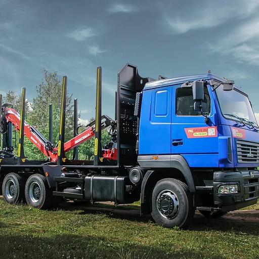 Сортиментовоз МАЗ 631228 с новым манипулятором ВЕЛМАШ 10-74 фото 1