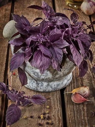 Базилик фиолетовый горный ВС MamiDA 60 г фото 2