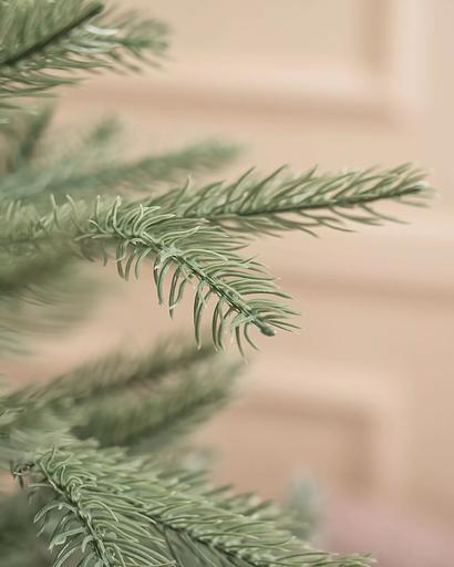 Голубая ель комбинированная «Баллада» опт фото 5