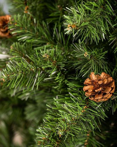 Ель с шишками «Симфония» опт фото 5