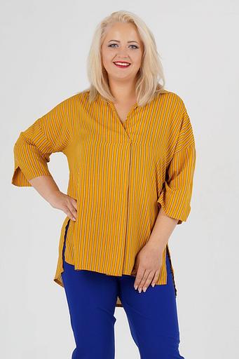 Блуза Р-224-2 фото 1