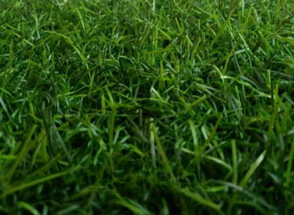 Искусственная трава зелёная, 35 мм ОПТ фото 1