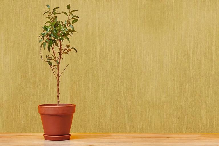 Интерьерное декоративное покрытие Sirocco опт фото 3