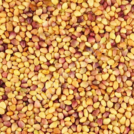 Семена клевера АгроВектор «Дымковский» фото 2