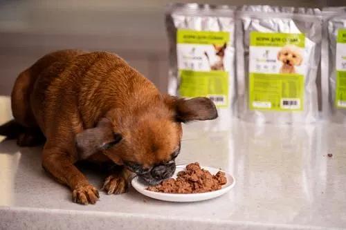 Корм для собак влажный PapaDog Holistic «Говядина с морковкой» 85 г ОПТ фото 3