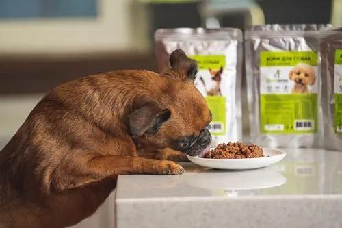 Корм для собак влажный PapaDog Holistic «Говядина с морковкой» 300 г ОПТ фото 3