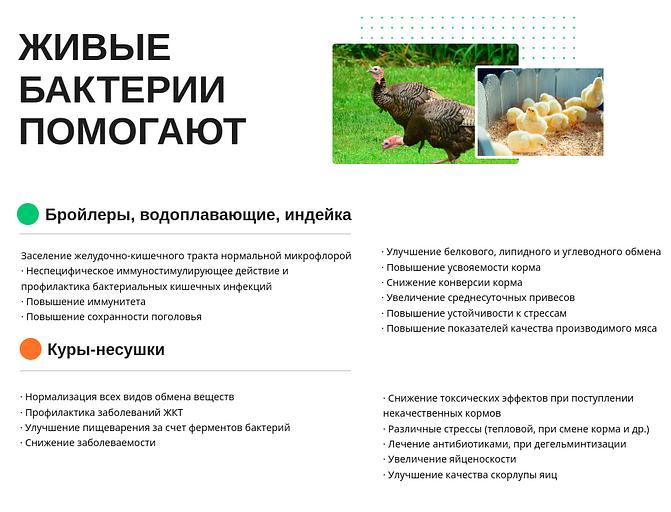 Живые бактерии для птиц Бонака-АПК, сухая форма опт фото 4