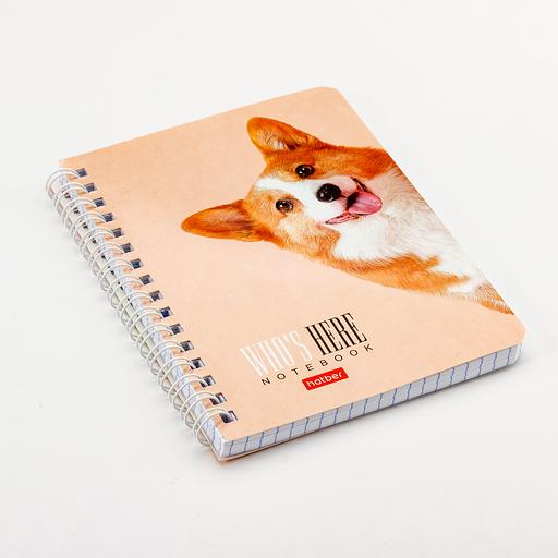 Блокнот А6 на спирали 80л фото 1