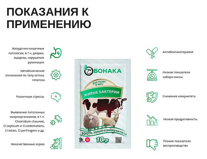 Живые бактерии для телят и МРС Бонака-АПК, сухая форма опт фото 2
